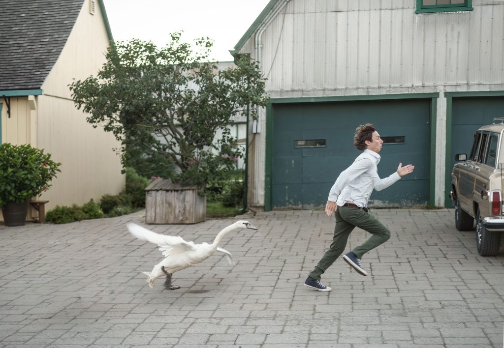 Gordon (Zach Braff) gets chased by a swan in 'French Girl'