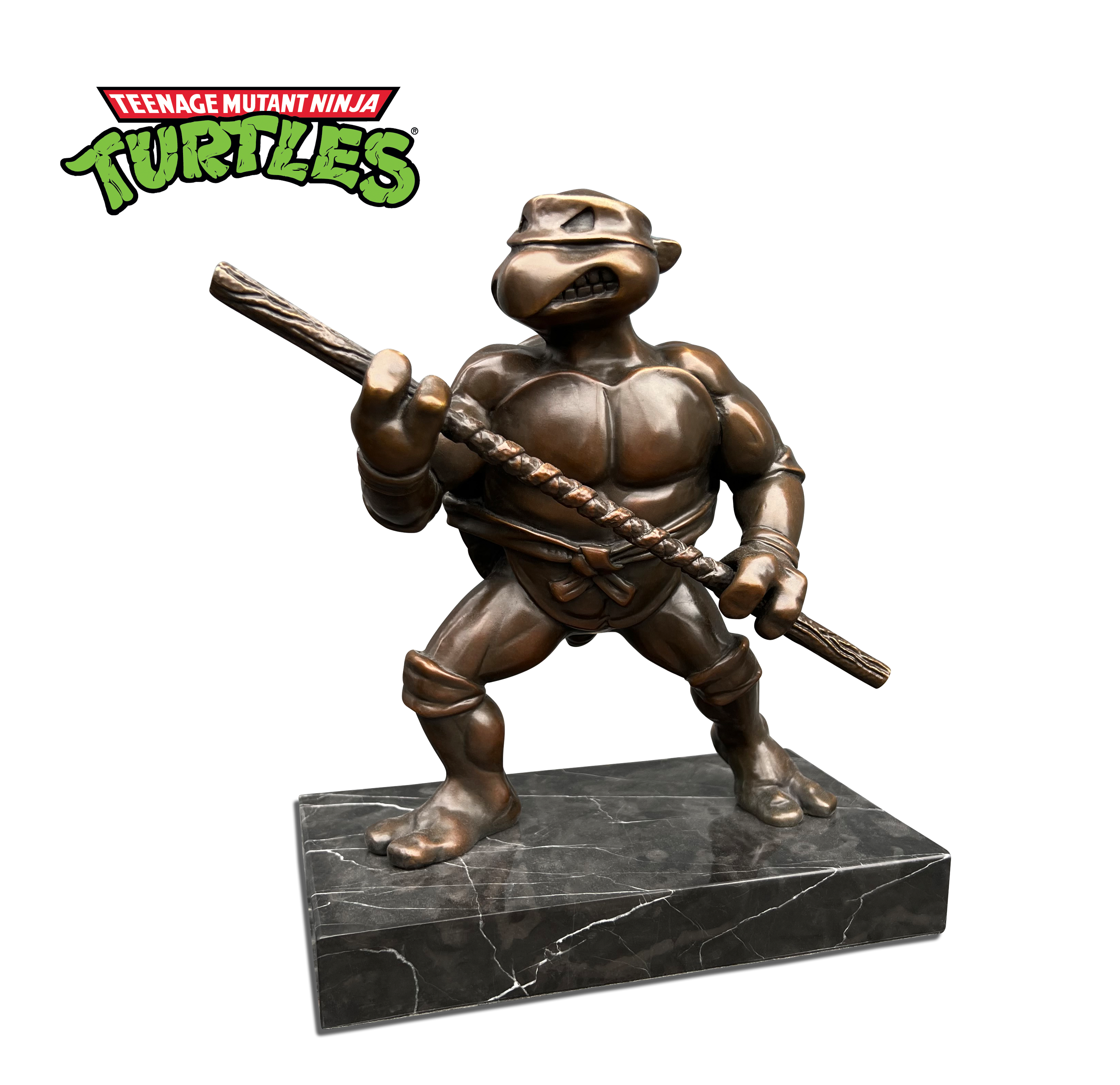 TMNT Firsts: The Pitch Turtle