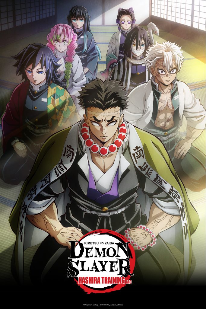 Demon Slayer: Kimetsu no Yaiba Hashira Training Arc NA key visual.