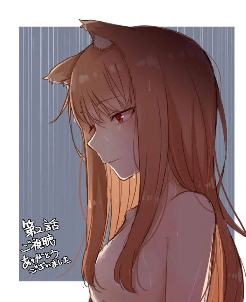 Spice and Wolf: MERCHANT MEETS THE WISE WOLF Ep. 2 "Mischievous Wolf and No Laughing Matter" visual by Juu Ayakura.