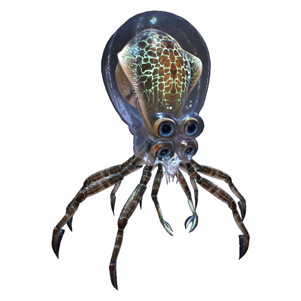 Crabsquid.