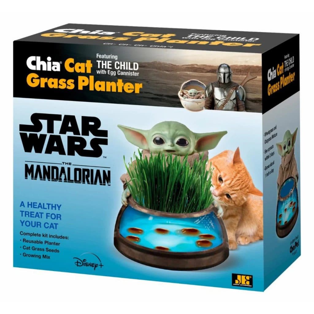 The Child Chia Cat