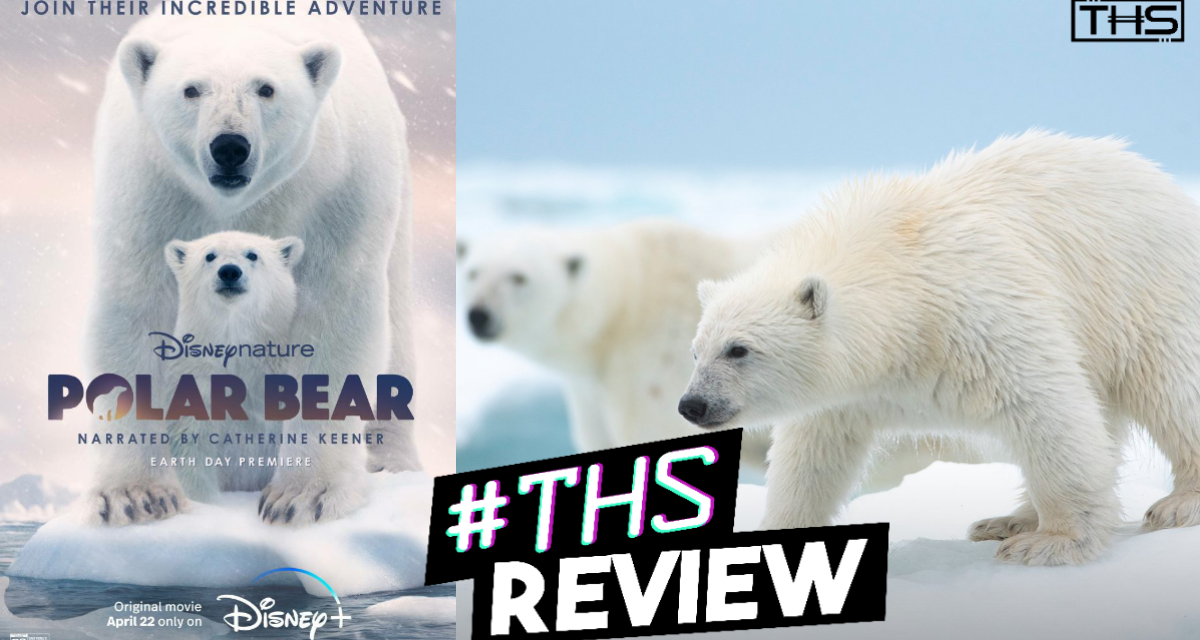 Polar Bear: Meet the Queens of the Arctic In This DisneyNature Special [Review]